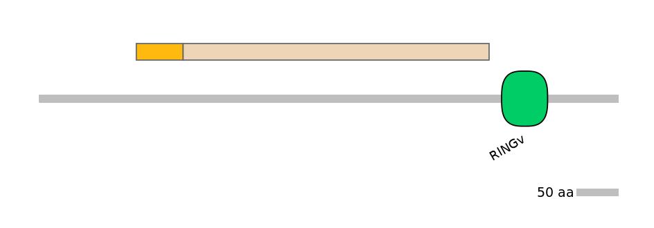 MmuALTA0010570-1_2-EXC