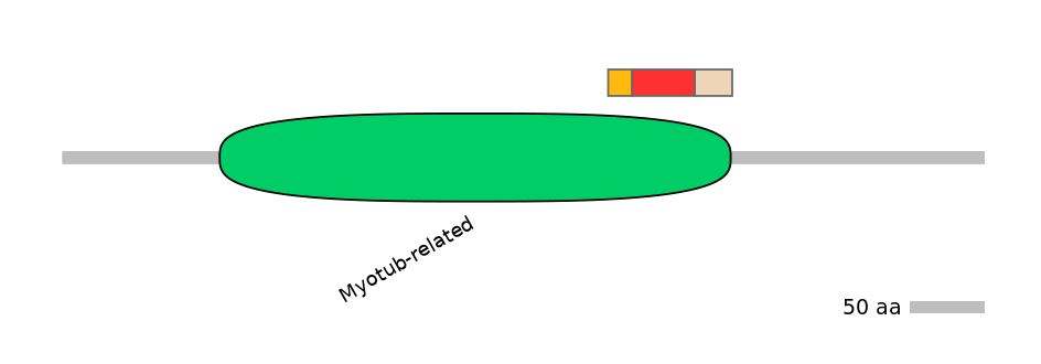 MmuALTA0011428-2_2-INC