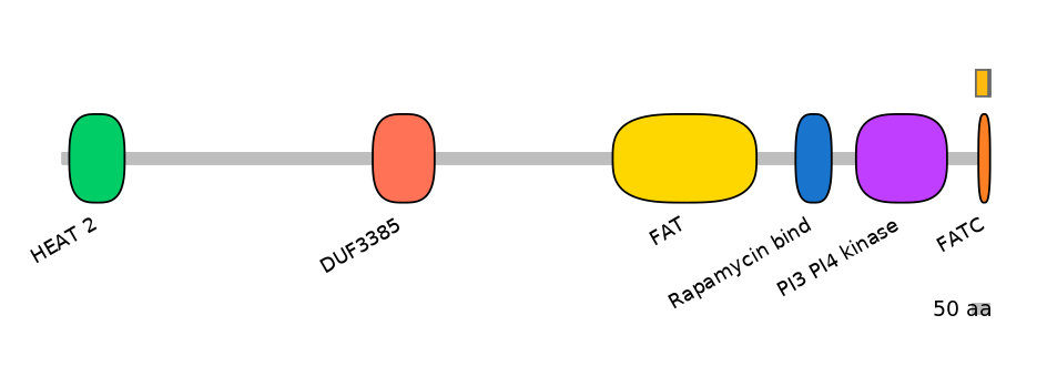 MmuALTA0011444-2_2-INC