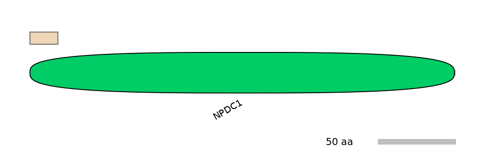 MmuALTA0012178-2_3-EXC