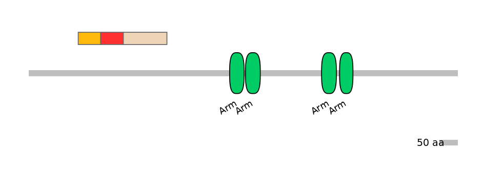 MmuALTA0013387-3_5-EXC