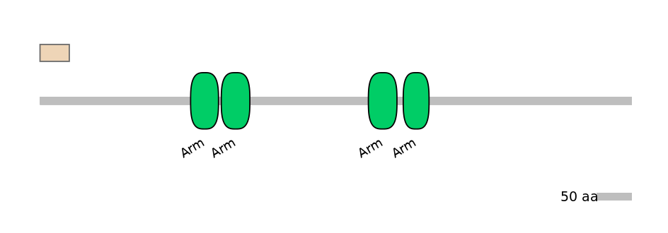 MmuALTA0013387-5_5-EXC