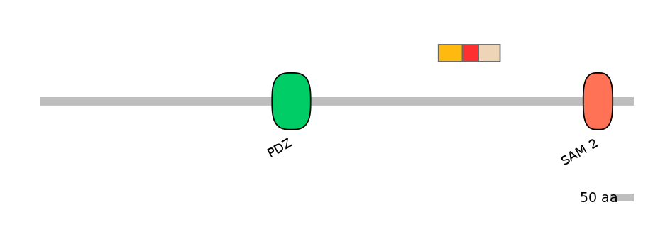 MmuALTA0013949-4_6-EXC