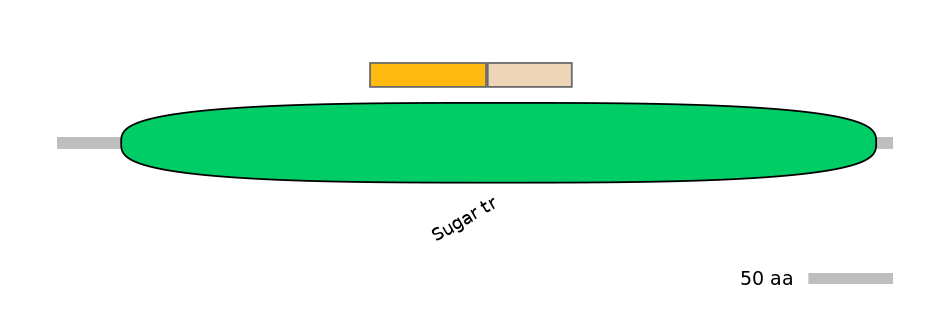 MmuALTA0016623-1_4-EXC