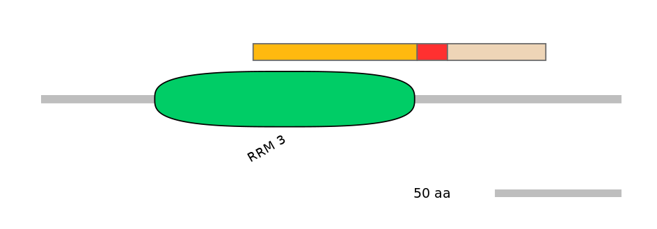 MmuALTA0017340-5_6-EXC