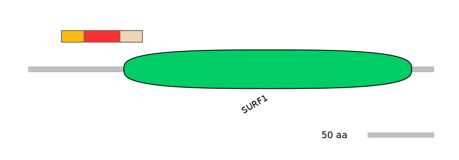 MmuALTA0017625-5_6-EXC