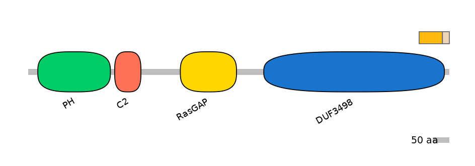 MmuALTA0017684-1_2-EXC
