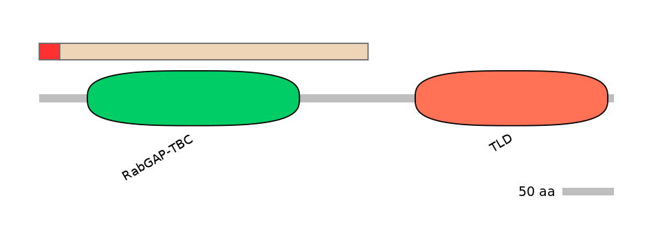 MmuALTA0017881-4_5-EXC