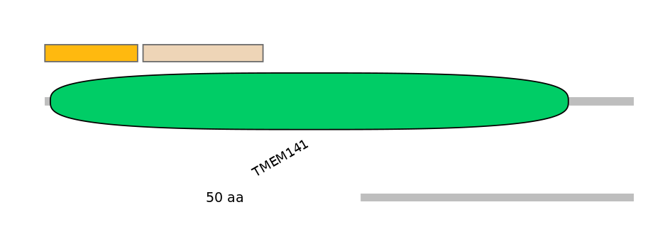 MmuALTA0018344-3_4-EXC