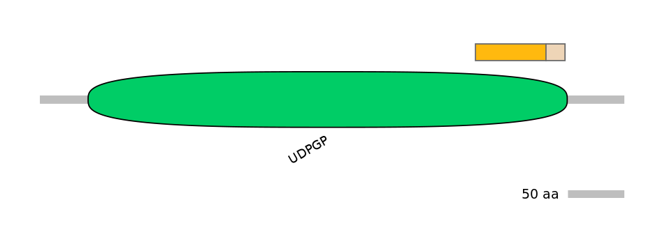 MmuALTA0019225-1_2-EXC
