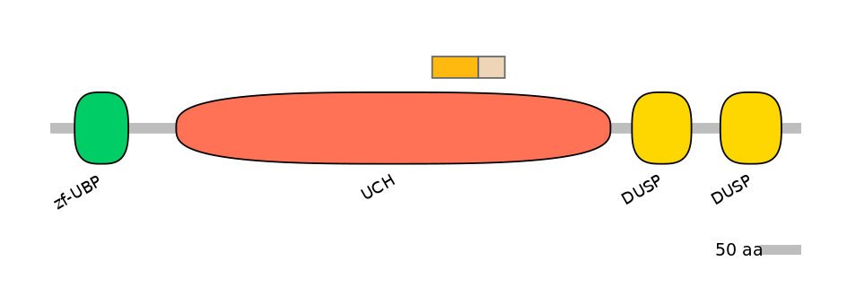 MmuALTA0019632-1_2-EXC