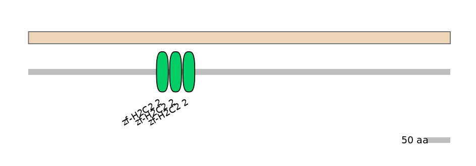 MmuALTA0020562-2_2-EXC
