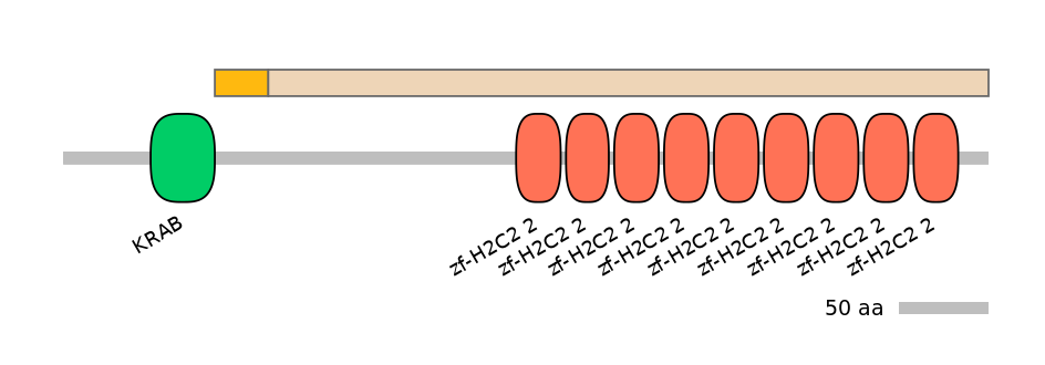 MmuALTA0020565-2_2-EXC