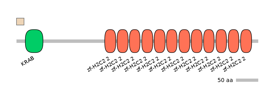 MmuALTA0020570-4_4-EXC