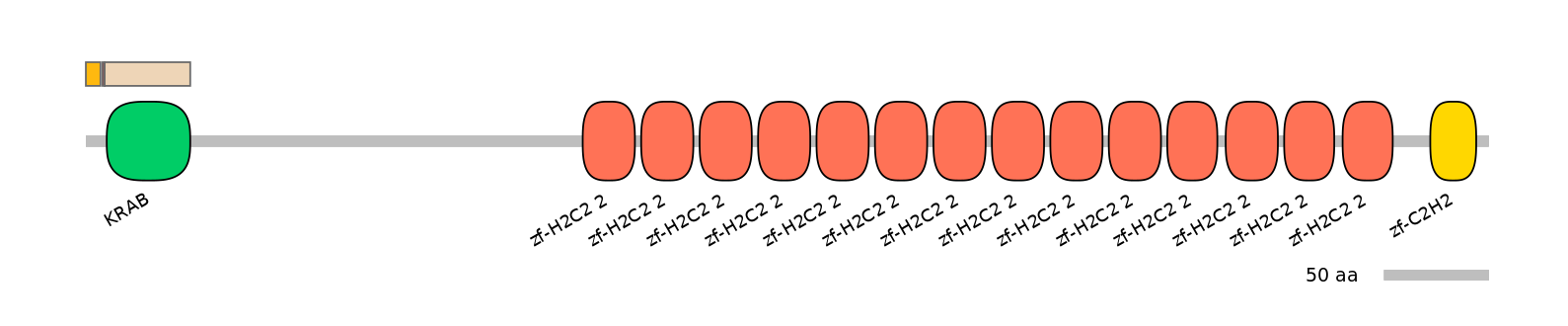 MmuALTA0020689-4_5-EXC
