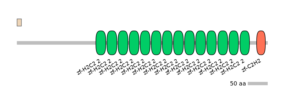 MmuALTA0020689-4_5-INC