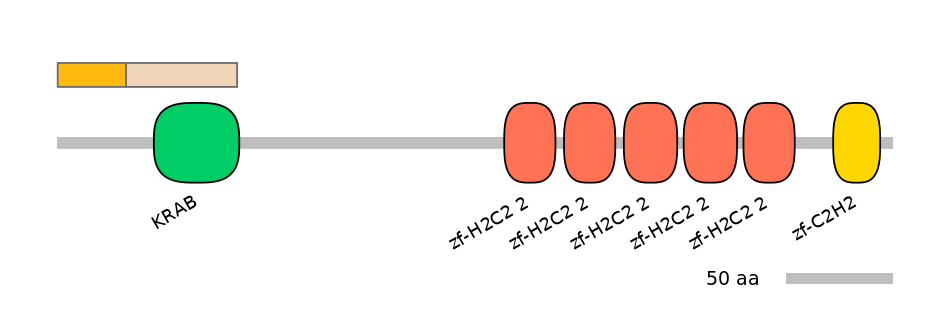 MmuALTA0020733-1_4-EXC