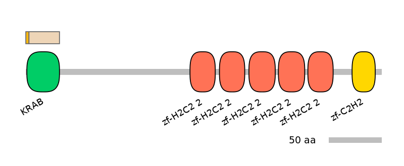 MmuALTA0020733-1_4-INC
