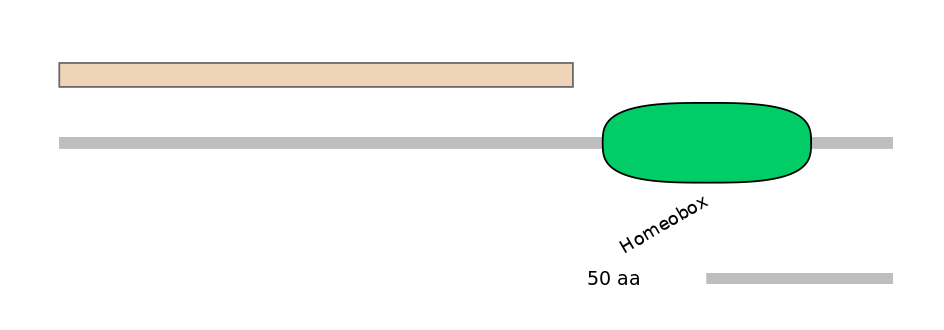 MmuALTA1000284-1_2-EXC