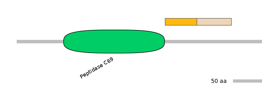 MmuALTA1007685-1_2-EXC