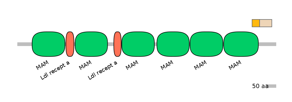 MmuALTA1016193-2_2-EXC