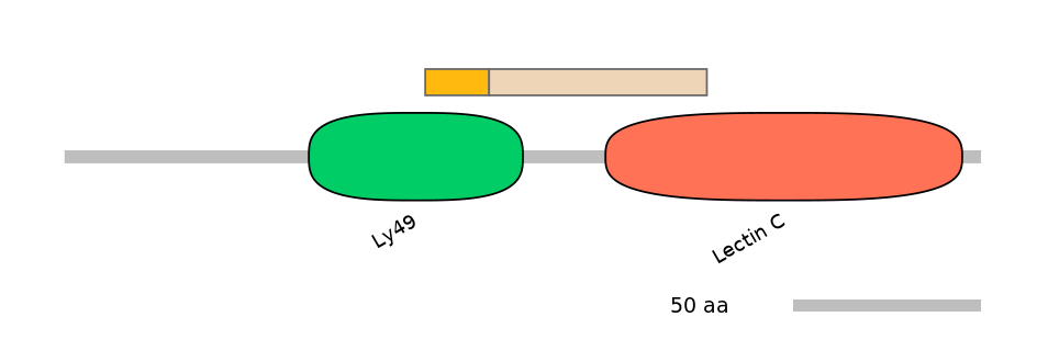 MmuALTA1021030-1_2-EXC