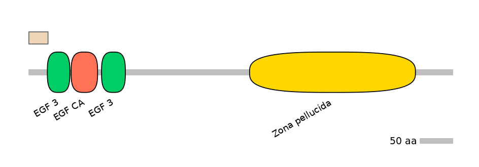 MmuALTA1022199-1_2-EXC