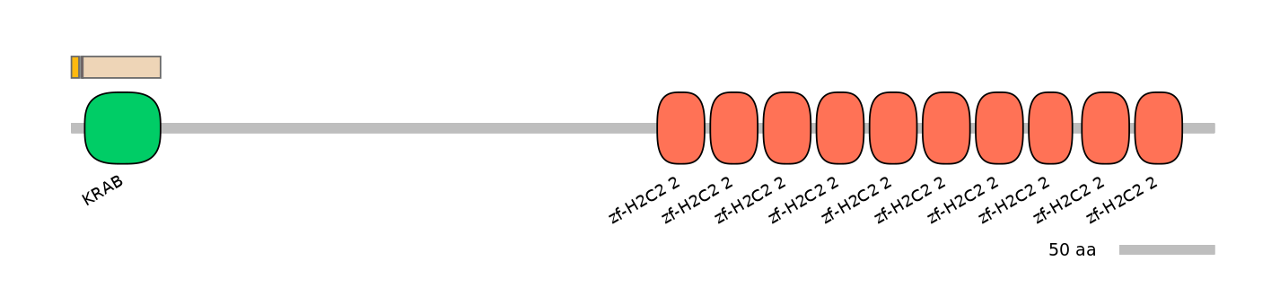 MmuALTA1024308-2_2-INC