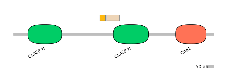 MmuALTA1025346-1_2-INC