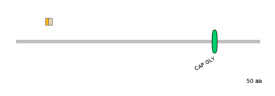 MmuALTA1025559-2_2-INC
