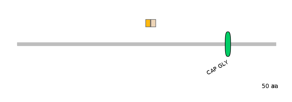 MmuALTA1025565-2_2-INC