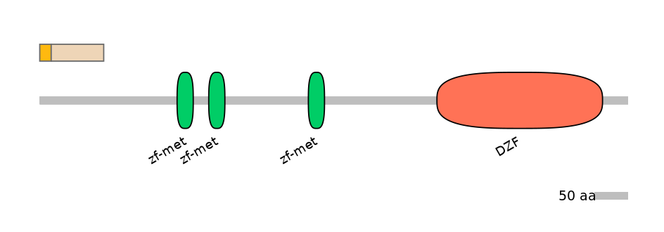 MmuALTA1026895-1_2-EXC