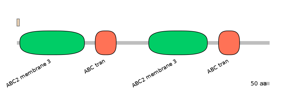 MmuALTA1027259-3_3-EXC