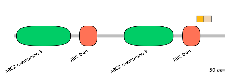 MmuALTA1027272-1_5-EXC