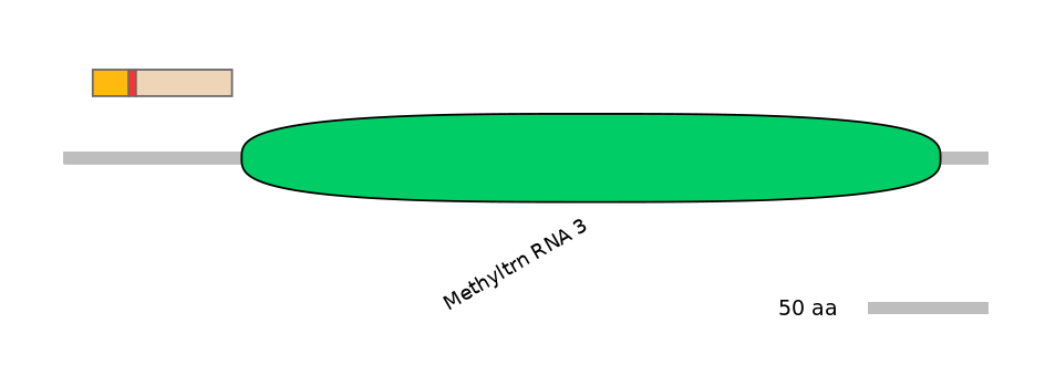 MmuALTA1031252-2_3-INC
