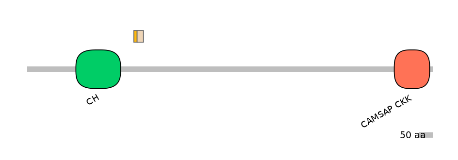 MmuALTA1032958-1_2-EXC