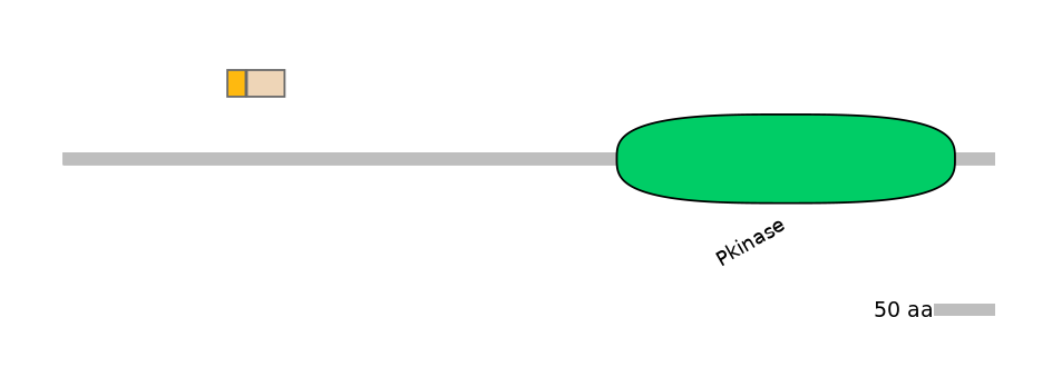 MmuALTA1033338-1_2-EXC