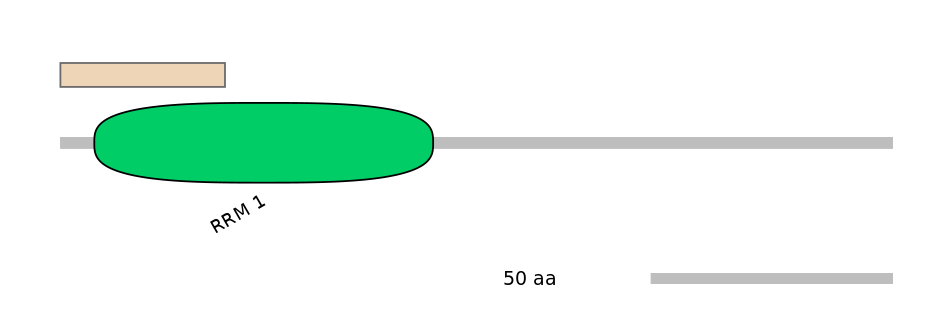 MmuALTA1034710-1_5-INC