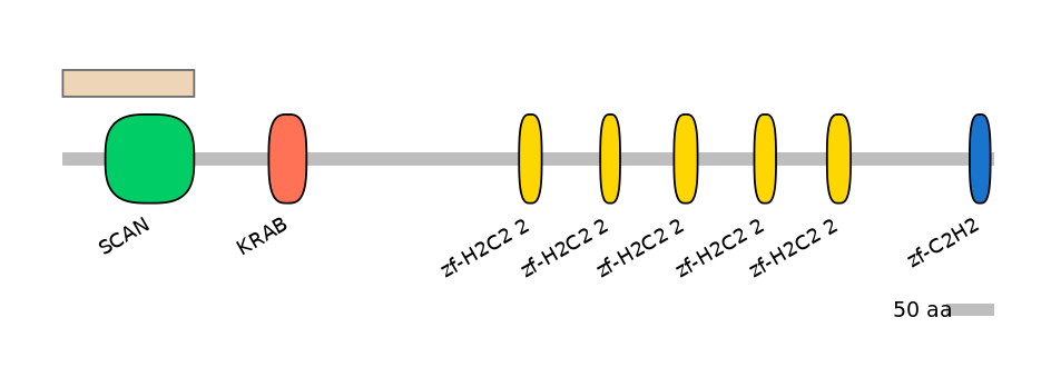 MmuALTA1035231-2_3-EXC