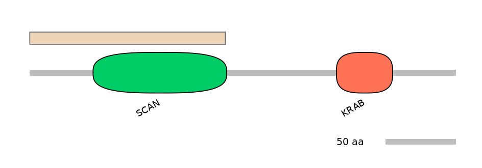 MmuALTA1035231-2_3-INC