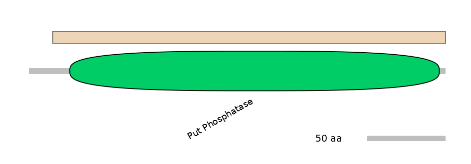 MmuALTA1036357-2_2-EXC