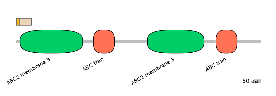 MmuALTA1036634-1_2-EXC