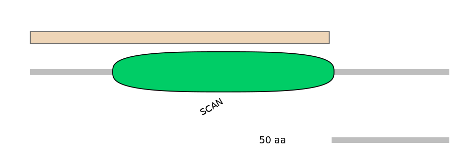 MmuALTA1041512-2_2-EXC