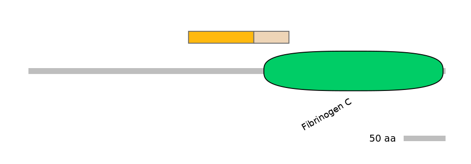 MmuALTD0001298-1_2-EXC