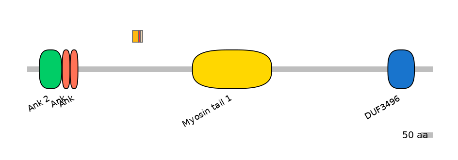 MmuALTD0001333-3_3-EXC