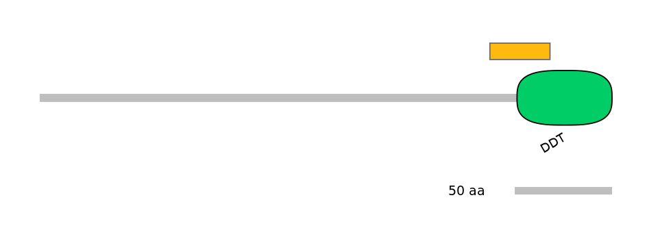 MmuALTD0002134-2_2-EXC