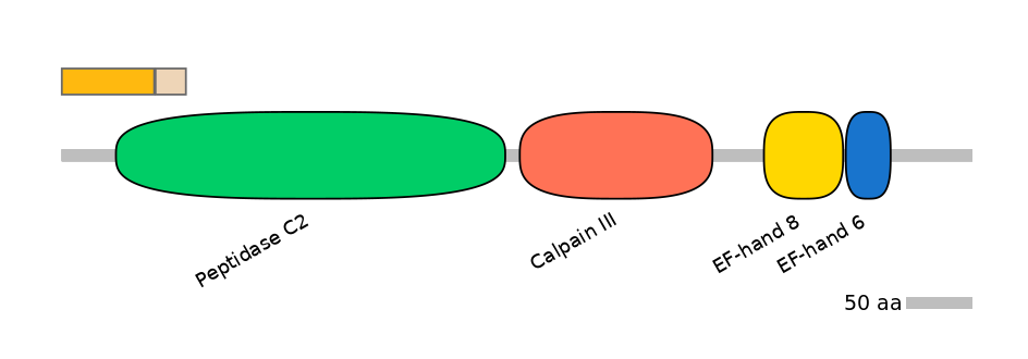 MmuALTD0002515-1_2-EXC