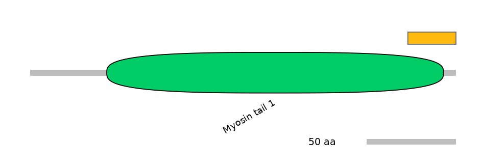 MmuALTD0002650-1_2-EXC