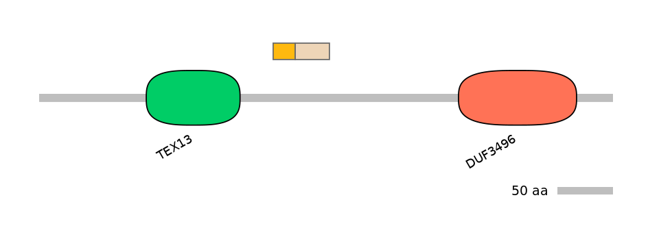 MmuALTD0002650-1_2-INC