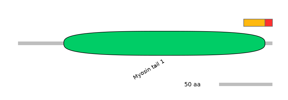 MmuALTD0002650-2_2-INC